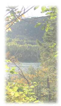 Produits Naturels de la for�t gasp�sienne