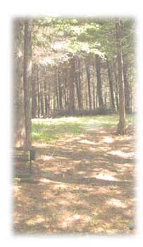 For&ecirc;t gasp&eacute;sienne