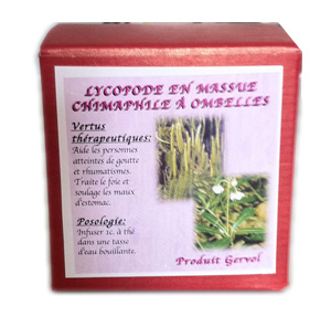 Chimaphile &agrave; ombelles