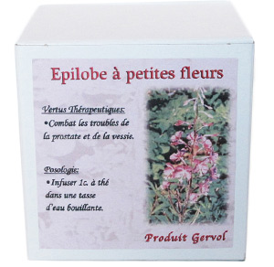 �pilobe � petites fleurs