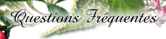 Questions fr&eacute;quentes lors d'un achat