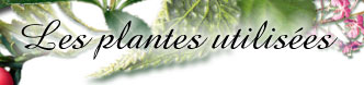 Plantes utilis&eacute;es